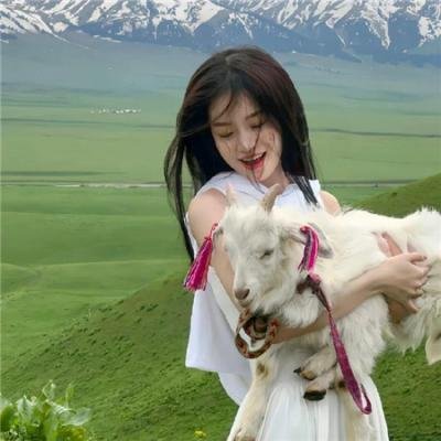 隋唐英雄传