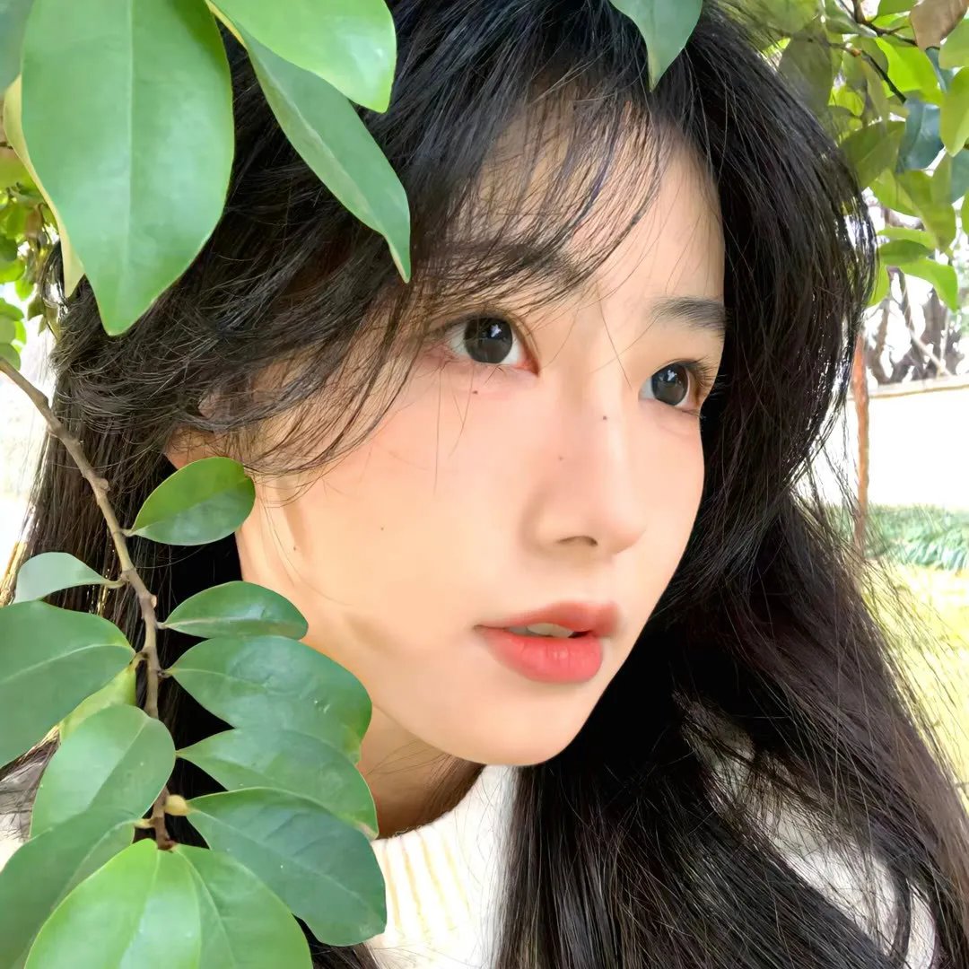 独行月球